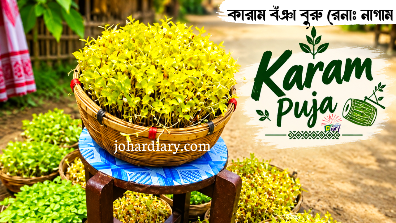 Karam Festival Microgreen Plant